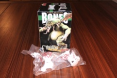 Reaper Bones (Thanks Scott)